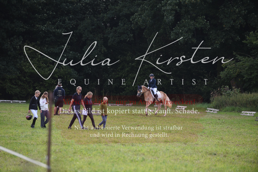 DSC_8588 | Pferde- und Turnierfotografie in Westsachsen. Pferdeportraits, Auftragszeichnungen und intuitive Kunst.