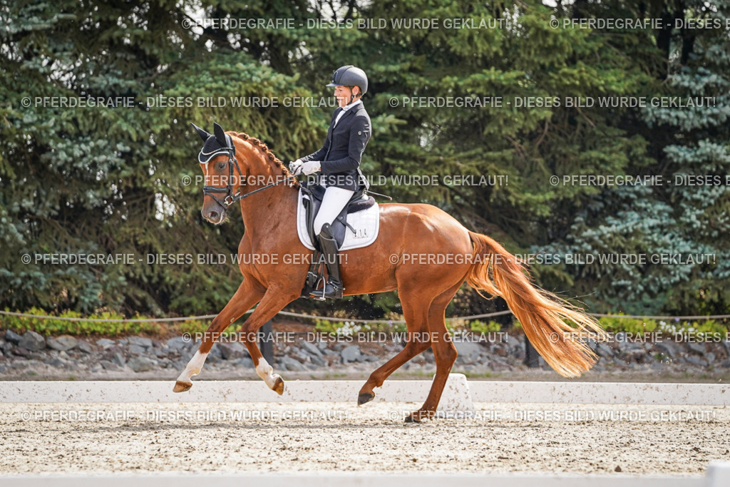 DSC07149 | Pferdegrafie