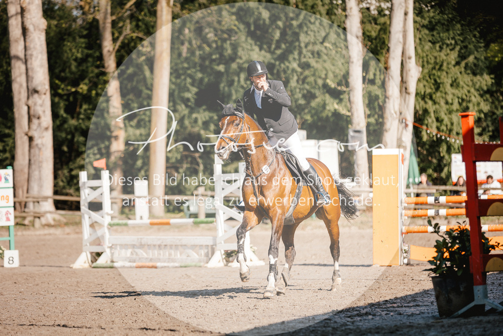 3I6A3692 | Stimmungsvolle Portraits und Reitsportfotografie im Ruhrgebiet und im Münsterland.

Pferdefotografie, Hundefotografie, Tierfotografie, Reportagen, Portraits von Tier und Mensch, Turnierfotografie in Bochum, Recklinghausen, Marl, Haltern am See, Dülmen.. - Realisiert mit Pictrs.com