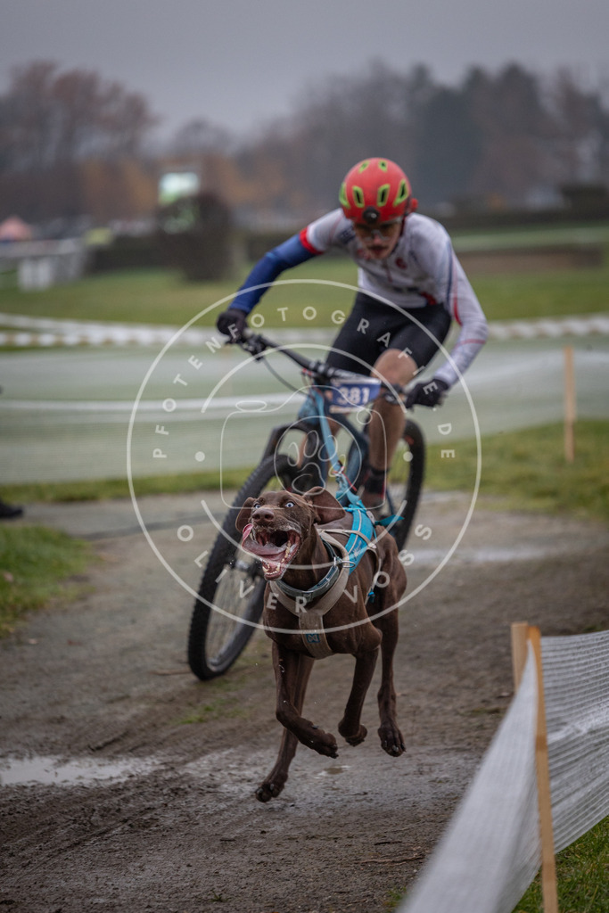 CaniXpix_0L8A1060 | Hundefotografie, Tierfotograf, Pfotenfotografie, Fotoshooting Hund, Hunde Portrait, Hundesport, Hundeportraits, Heideshooting, Hunde, Sportfotograf, Hundefotograf, Turnierhundsport, THS,  - Realisiert mit Pictrs.com