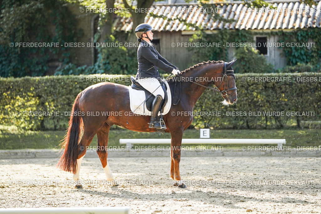 DSC06419 | Pferdegrafie