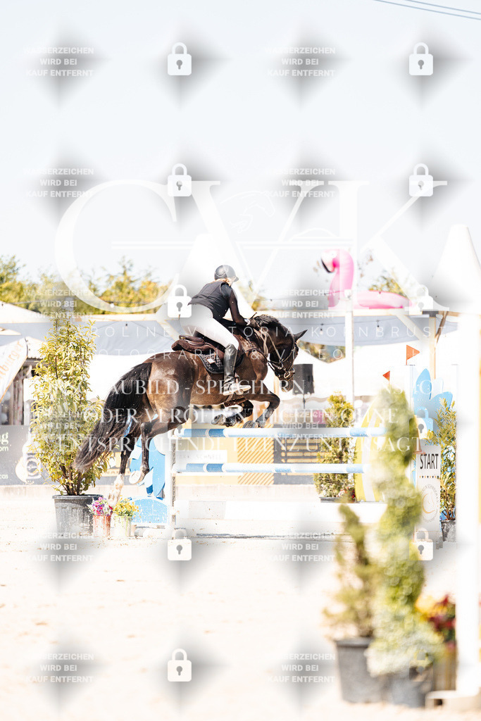 CK909541 | Turnierfotografie Pferdefotografie Trier Rheinland-Pfalz Pferdesport Reitsport Tierfotografie Sportfotografie Pferdevideo Pferdevideografie Equestrianvideography equestrianphotography  - Realisiert mit Pictrs.com