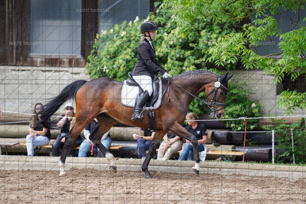 20240519-FAH05092 | Turnierbilder Niederseeon 2024, Vielseitigkeitsdressur, Reitsportbilder aus dem Landkreit Ebersberg, Gut Steinsee, RC Steinsee, Fotoagentur Herrmann