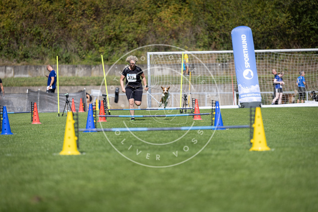 Pfotenfotografie_DV3A6818 | Hundefotografie, Tierfotograf, Pfotenfotografie, Fotoshooting Hund, Hunde Portrait, Hundesport, Hundeportraits, Heideshooting, Hunde, Sportfotograf, Hundefotograf, Turnierhundsport, THS,  - Realisiert mit Pictrs.com