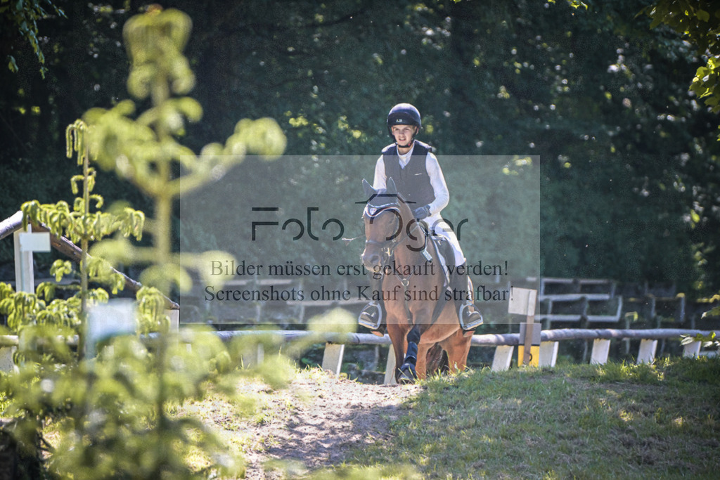 DOS_6344 | Entdecke hochwertige Reitturnierfotos von Foto Oger. Professionell, emotional und authentisch – jetzt Lieblingsmomente im Shop bestellen.Deutschlandweite Turnierfotografie. - Realisiert mit Pictrs.com