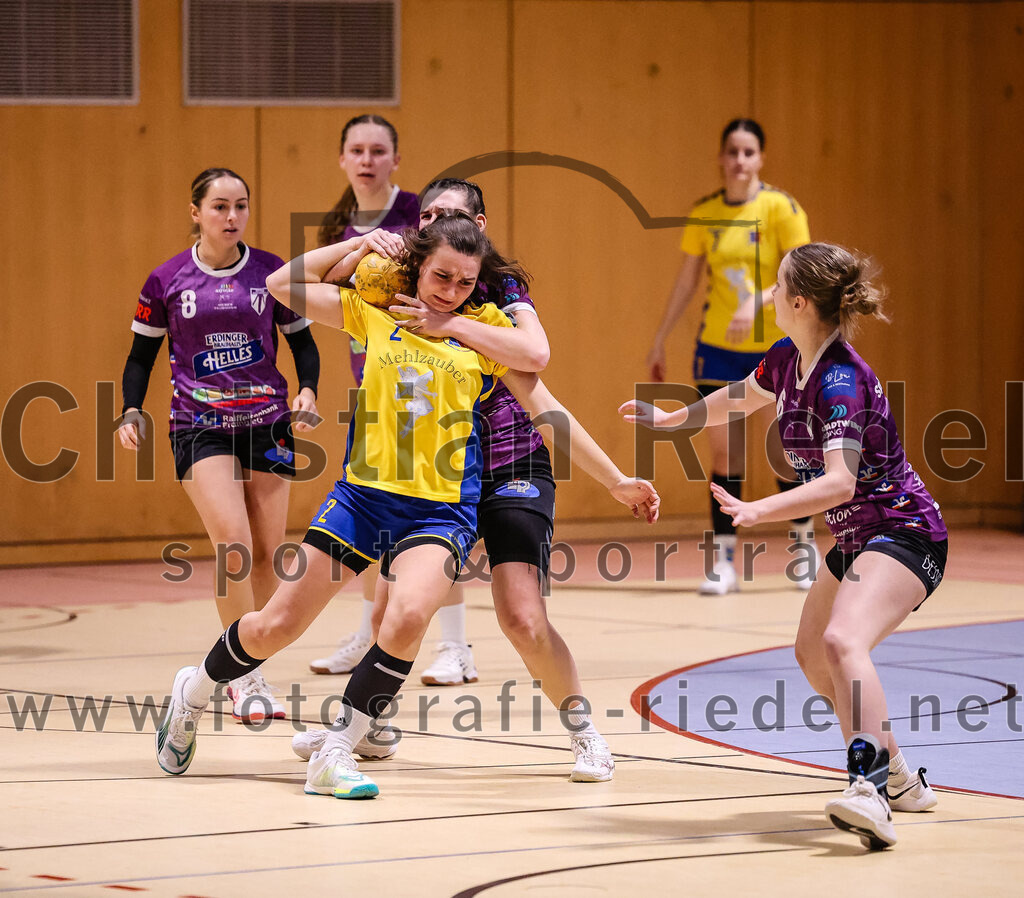 2025-02-15_113_SpVgg_Altenerding_gegen_MTV_Pfaffenhofen | Erding, Deutschland, 15.02.2025:Handball, Bezirksoberliga Frauen Altbayern 2024 / 2024, 14. Spieltag, SpVgg Altenerding gegen MTV Pfaffenhofen, Endergebnis: 27:23Lena Prem (SpVgg Altenerding, #8), Magdalena Scherer (MTV Pfaffenhofen, #2), Verena Kaiser (SpVgg Altenerding, #55), Marlene Mittermeier (SpVgg Altenerding, #6)Foto: Christian Riedel / fotografie-riedel.net