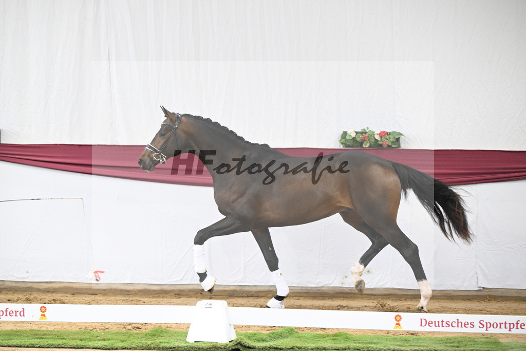 Kat-Nr. 13 Escaneno x De Niro-Christoph Wahler_47250230 | hf-fotografie - Realisiert mit Pictrs.com