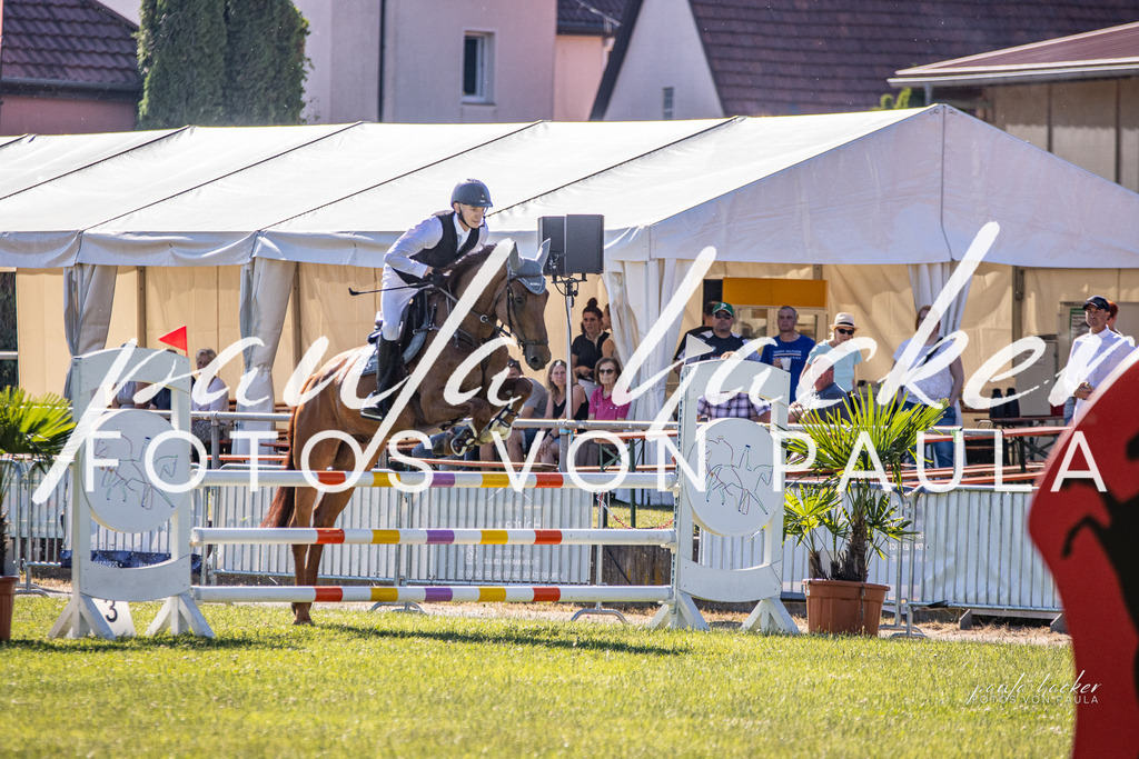 IMG_0130 | Erleben Sie dynamische Sport- und emotionale Tierfotografie in Süddeutschland mit Fotos von Paula. Spezialisiert auf Pferde- und Hundefotografie sowie Sportevents. Kontaktieren Sie mich für einzigartige und ausdrucksstarke Bilder Ihrer besonderen Momente. - Realisiert mit Pictrs.com