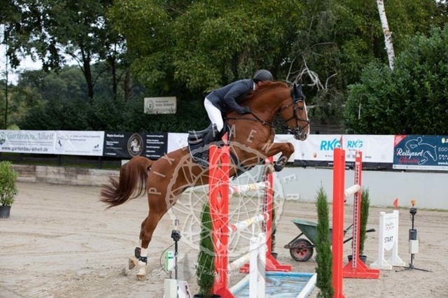 2B4A1134 | pixelfaenger - Realisiert mit Pictrs.com