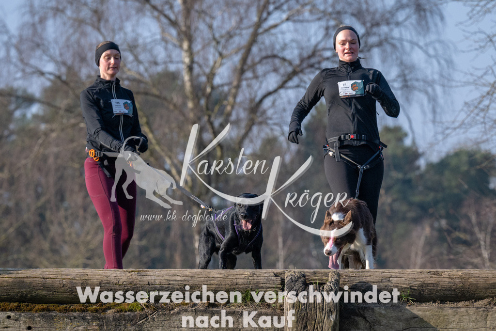 _ZZ93842 | kk-dogfotos