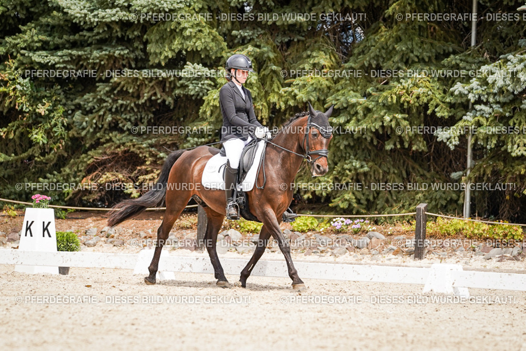 DSC04081 | Pferdegrafie