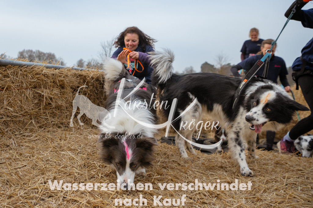 0846_ZZ94661 | kk-dogfotos