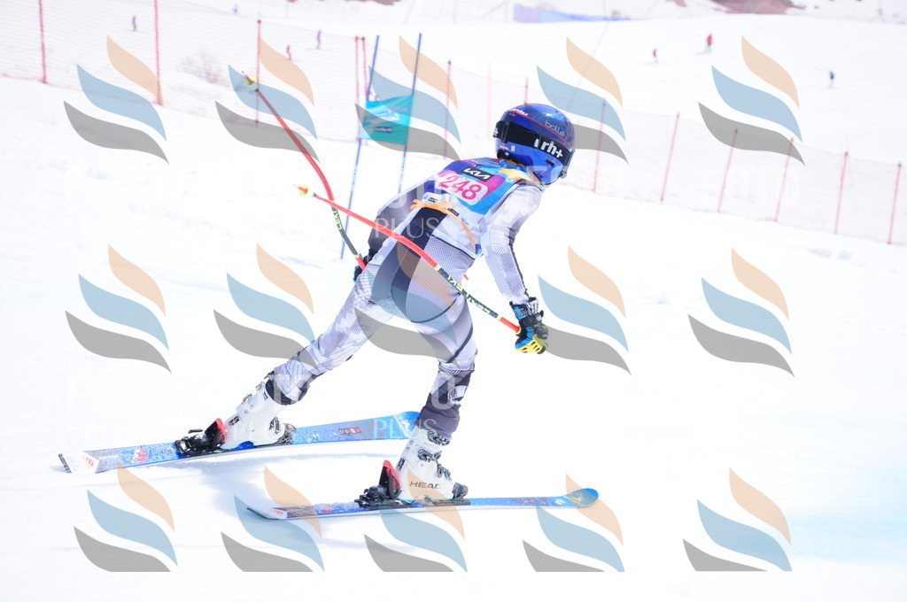 DSC_6213 | holidayphoto