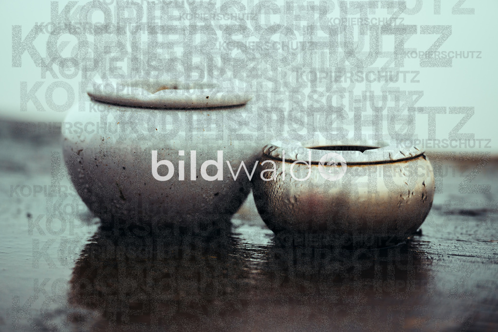 christmas tree elsfleth crazy mad thingy-4209 | BILDWALD - eine Auswahl an Bildern von Thomas Perrotton zum bestellen und genießen. Alle Bilder von Thomas Perrotton - Alle Bilder mit einer SONY Kamera gemacht - SONY TAMRON SIGMA PHOTOSHOP LIGHTROOM BILDWALD Online kaufen Bilderwald Wandbilder - Realisiert mit Pictrs.com