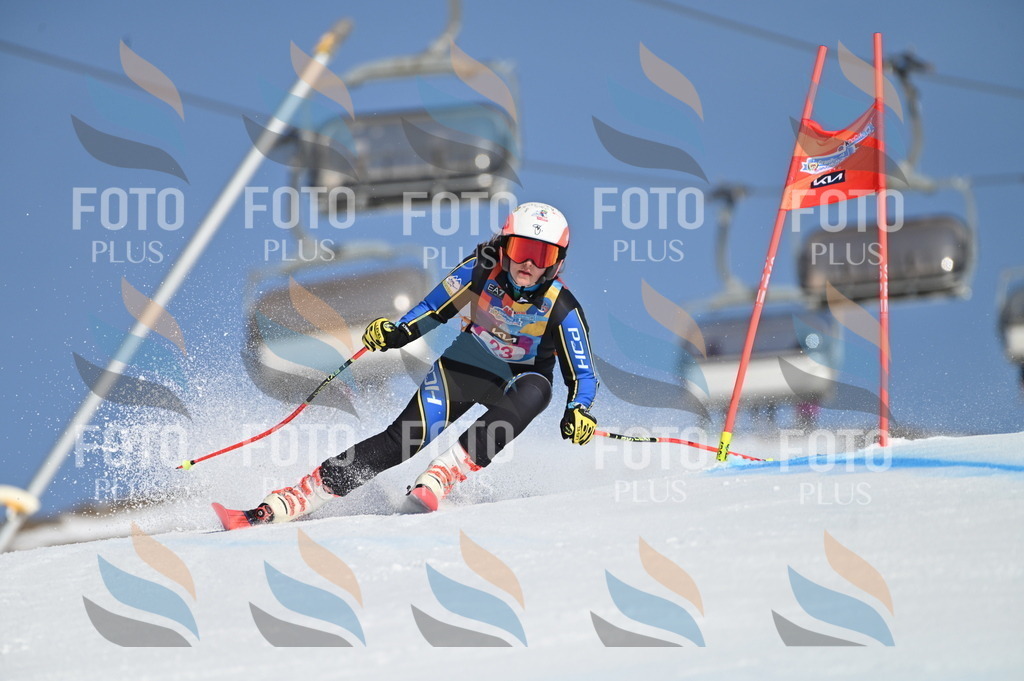 BGV_7993 | holidayphoto