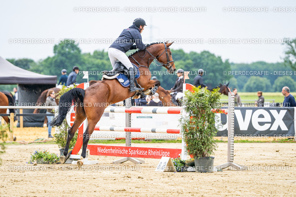 DSC06922 | Pferdegrafie