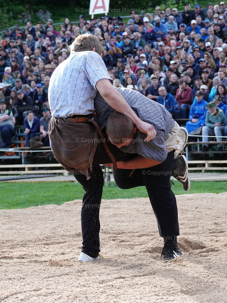 DSC07042 | Schwingen - Realisiert mit Pictrs.com