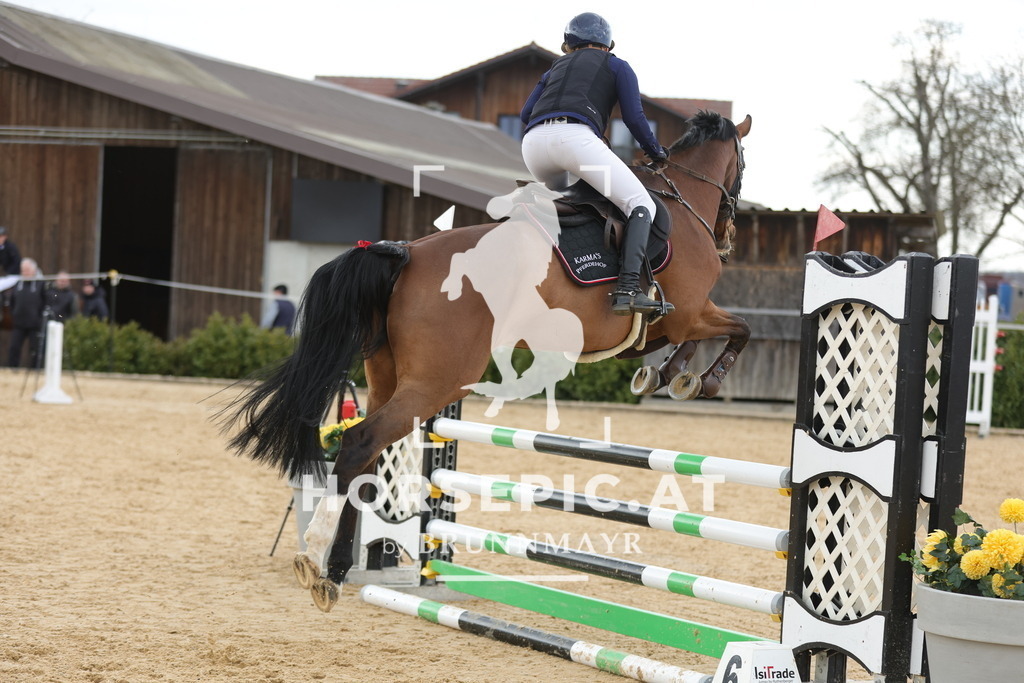 0P6A8412 | Willkommen bei Brunnmayr - Design & Fotografie – Ihrem Spezialisten für Reitturniere und Pferdeveranstaltungen in Oberösterreich, Salzburg und Bayern! Seit über 17 Jahren sind wir leidenschaftlich dabei.