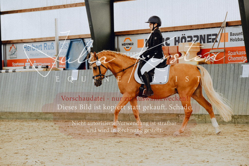 DSC_7211 | Pferde- und Turnierfotografie in Westsachsen. Pferdeportraits, Auftragszeichnungen und intuitive Kunst.