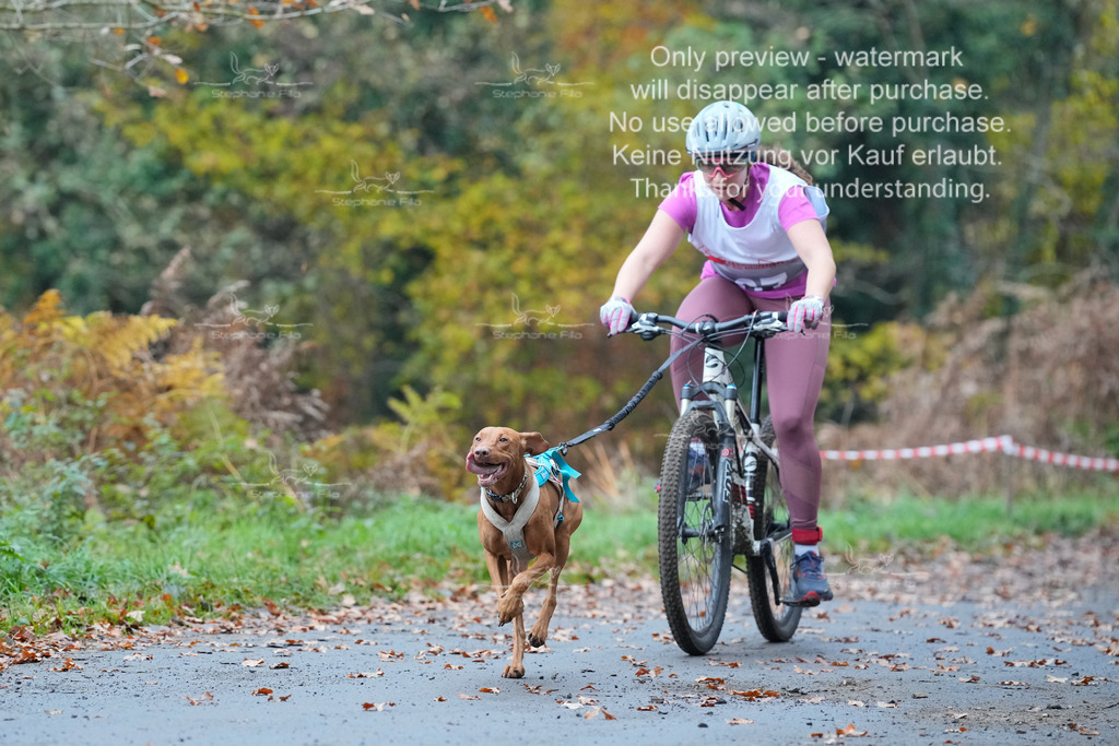 Bike_So-92 | stephaniefillaphotographie - Realisiert mit Pictrs.com