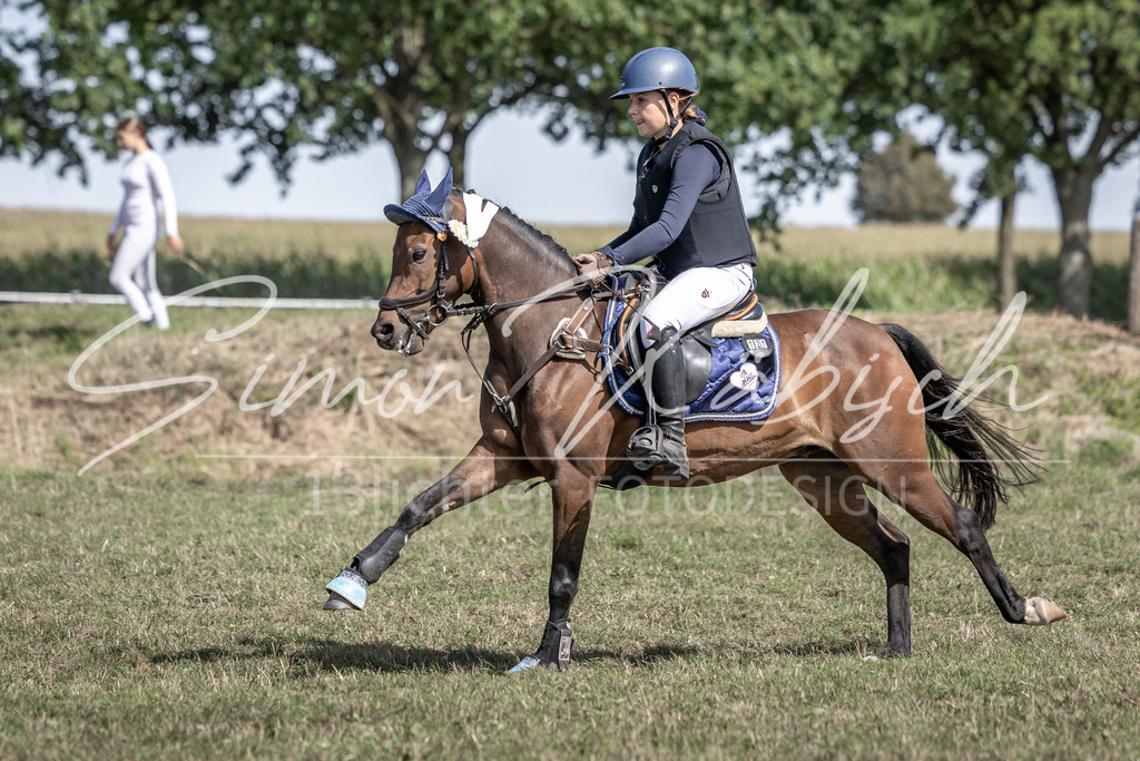 20250907-_3LI0366 | Tierfotografie Pferde, Hunde, Katzen, Haustiere.
Turnierfotografie Reitturniere, Reiten, Springreiten, Dressur in Hanau, dem Main-Kinzig-Kreis und dem Rhein-Main- Gebiet um Frankfurt