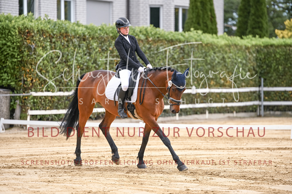 Schugtsche-Aluta25-42.EDressur -54 | Schugtsche Fotografie - Realisiert mit Pictrs.com