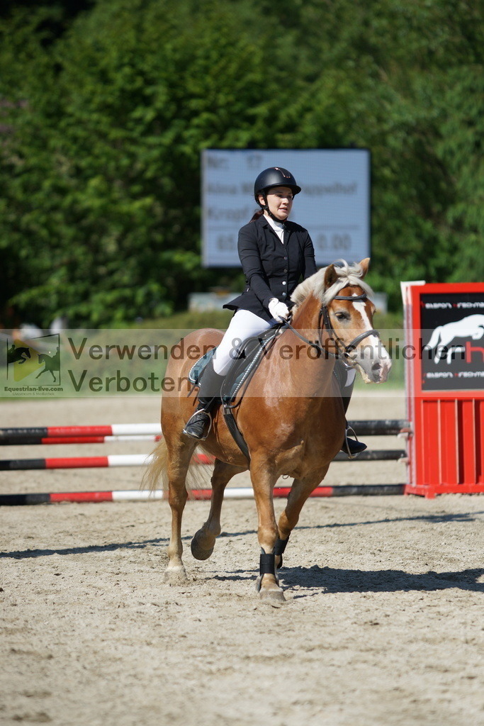 DSC06145 | equestrian-live-com