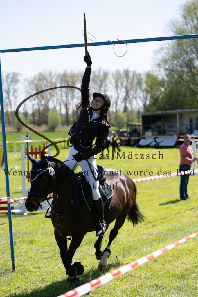 A7V01129 | Pferdefotograf