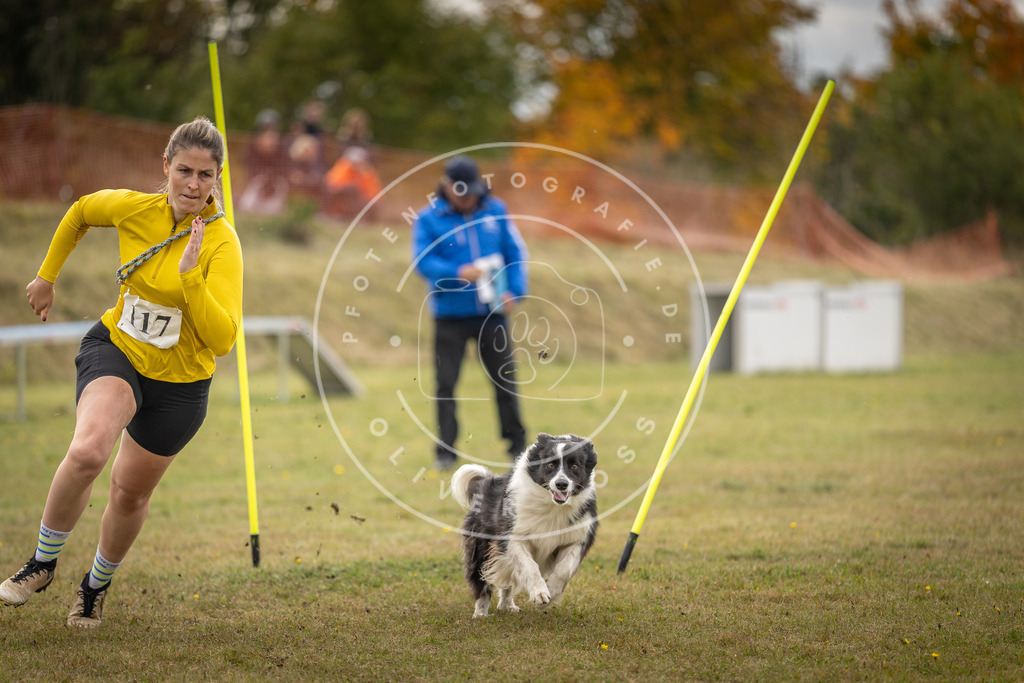 Pfotenfotografie_DV3A6974 | Hundefotografie, Tierfotograf, Pfotenfotografie, Fotoshooting Hund, Hunde Portrait, Hundesport, Hundeportraits, Heideshooting, Hunde, Sportfotograf, Hundefotograf, Turnierhundsport, THS,  - Realisiert mit Pictrs.com