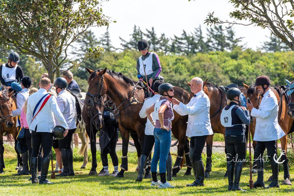 EAF_7276 | Eilun-Art-Fotografie Levke Martens, ihre Fotografin für Immobilien- und Landschaftsfotografie auf Föhr, Föhrer Motive als Poster, Leinwand, hinter Acrylglas oder stelle dir deinen eigenen Monatskalender zusammen, mit nur einem Klick