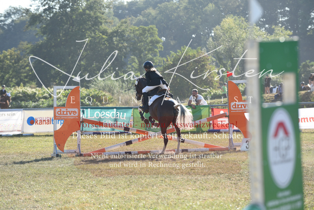 DSC_5590 | Pferde- und Turnierfotografie in Westsachsen. Pferdeportraits, Auftragszeichnungen und intuitive Kunst.