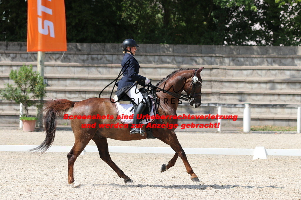 IMG_7022 | lmwpictures - Realisiert mit Pictrs.com