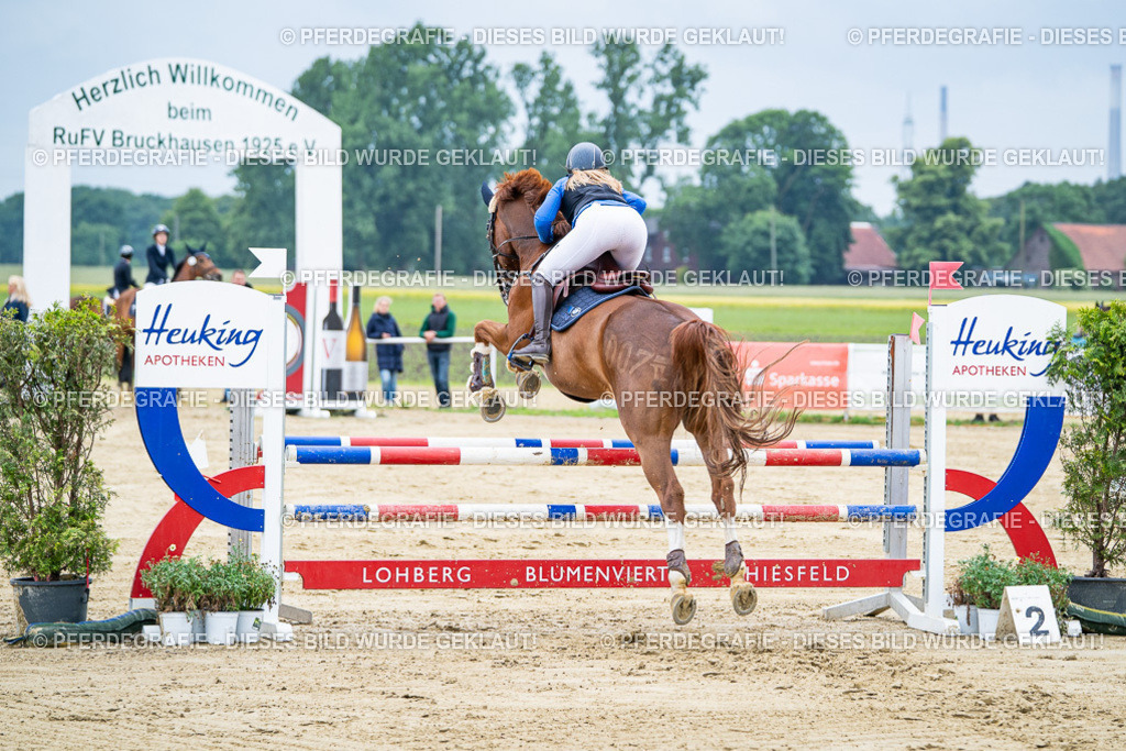 DSC03678 | Pferdegrafie