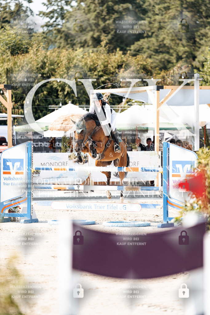 CK902133 | Turnierfotografie Pferdefotografie Trier Rheinland-Pfalz Pferdesport Reitsport Tierfotografie Sportfotografie Pferdevideo Pferdevideografie Equestrianvideography equestrianphotography  - Realisiert mit Pictrs.com