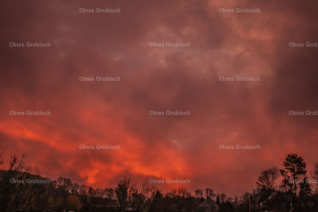 Roter Nebel bei Sonnenaufgang | Lila Lubbenbomm - Artwork by Ines Grubisch - Realisiert mit Pictrs.com