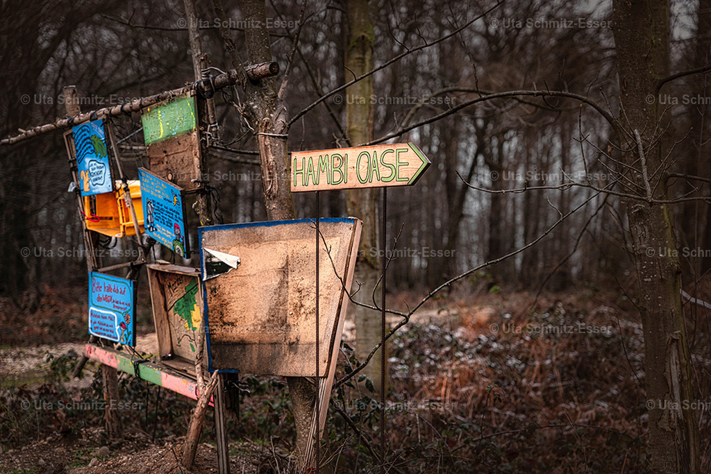 Hambacher-Forst_06 | CEUS Design - Realisiert mit Pictrs.com