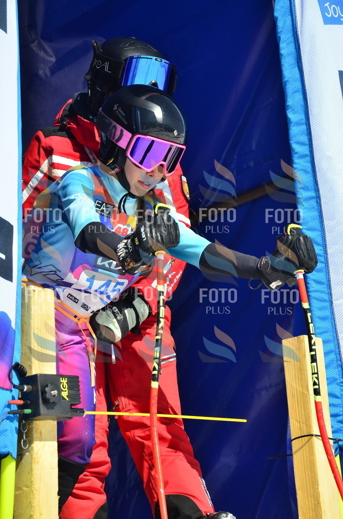 _ELE0944 | holidayphoto