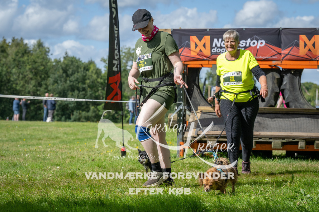 1540_ZZ93626 | kk-dogfotos