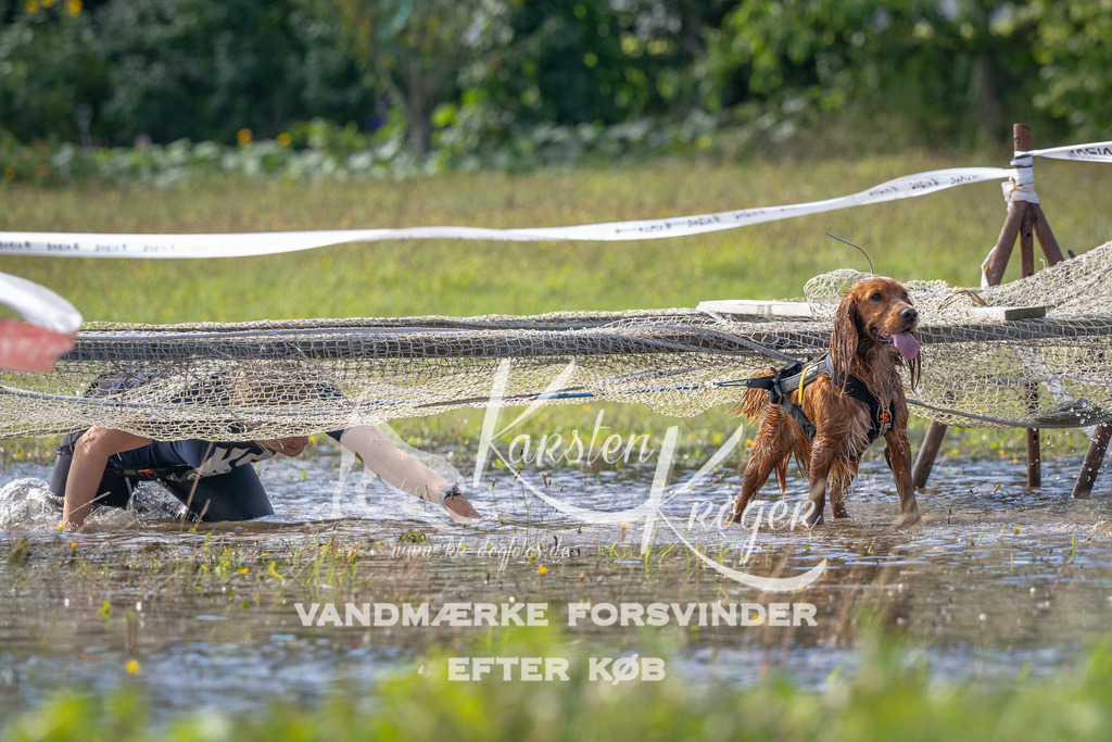 1148_ZZ91769 | kk-dogfotos