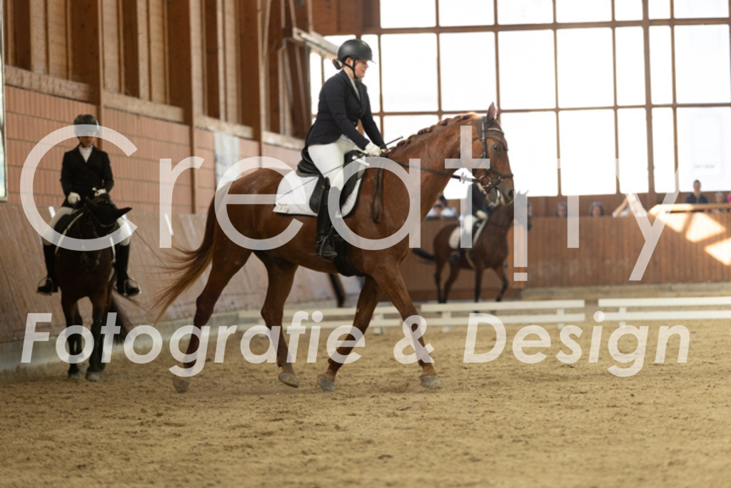 IMG_8291 | Creatify Fotografie