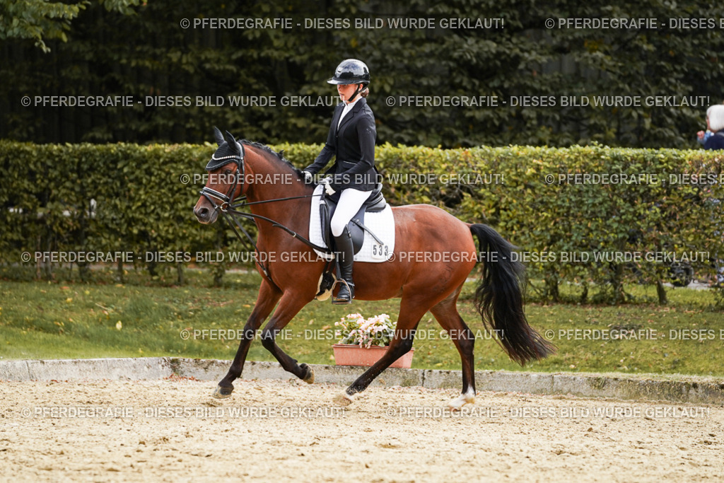 DSC00923 | Pferdegrafie