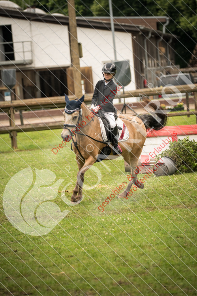 DSC_4805 | Sport-, Event- und Tierfotos in Profiqualität. Einfach auswählen, bestellen und herunterladen. Dein Moment – perfekt festgehalten.
