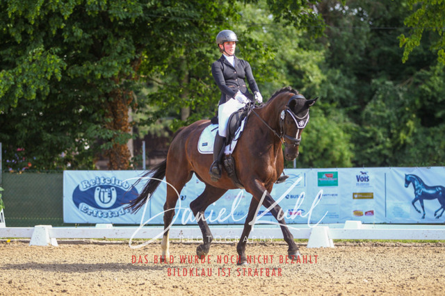 DKP43006 | Turniersportfotografie; Pferdefotografie; Dressurfotografie