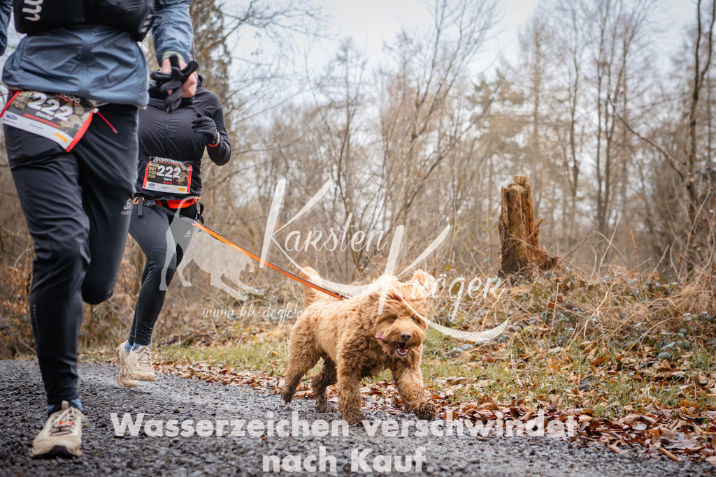 1024_ZZ95420 | kk-dogfotos