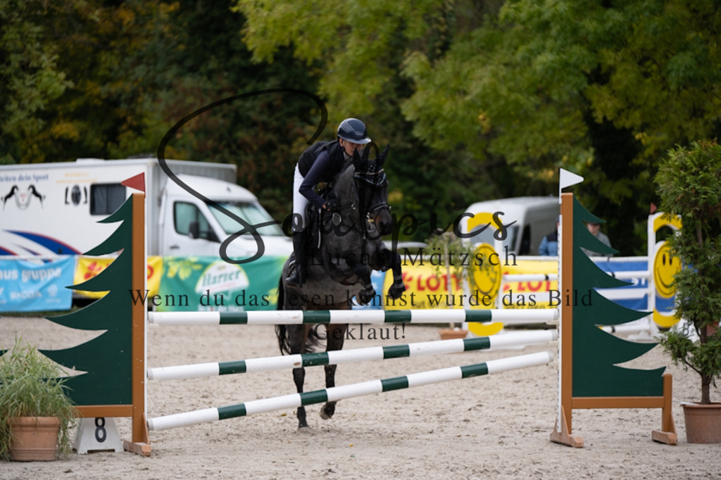 A7V09561 | Pferdefotograf