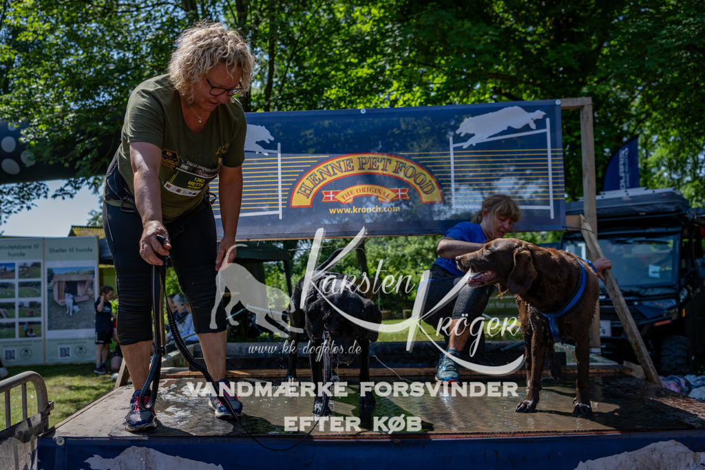 1313_ZZ90878 | kk-dogfotos