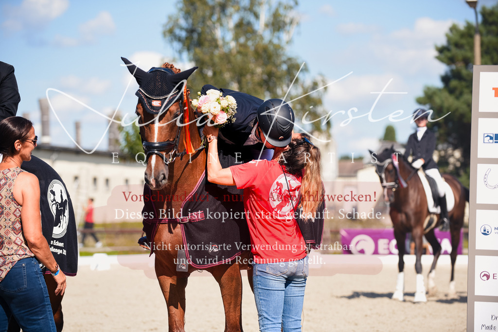 DSC_9783 | Pferde- und Turnierfotografie in Westsachsen. Pferdeportraits, Auftragszeichnungen und intuitive Kunst.