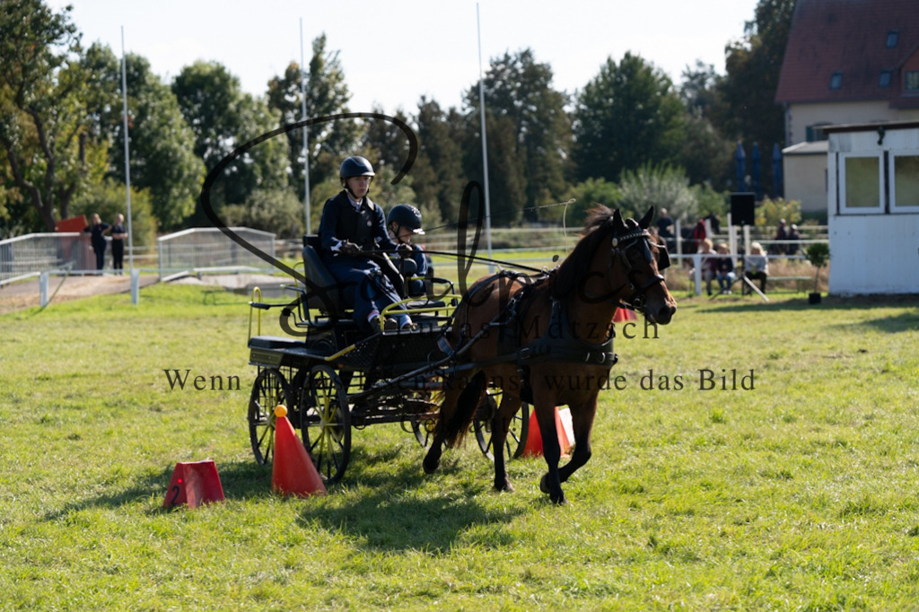 A7V04400 | Pferdefotograf