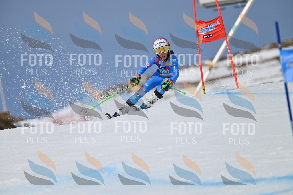 BGV_7110 | holidayphoto