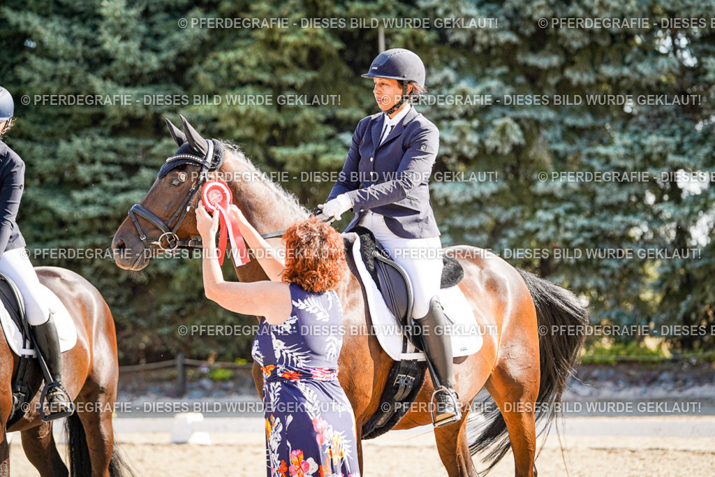 DSC00126 | Pferdegrafie